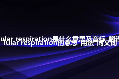 cellular respiration是什么意思及音标_翻译cellular respiration的意思_用法_同义词