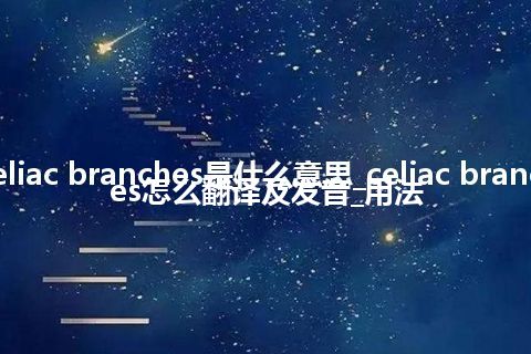 celiac branches是什么意思_celiac branches怎么翻译及发音_用法