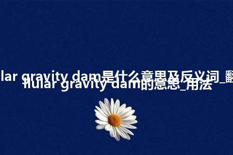 cellular gravity dam是什么意思及反义词_翻译cellular gravity dam的意思_用法