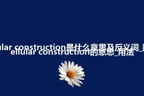 cellular construction是什么意思及反义词_翻译cellular construction的意思_用法