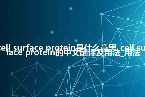 cell surface protein是什么意思_cell surface protein的中文翻译及用法_用法