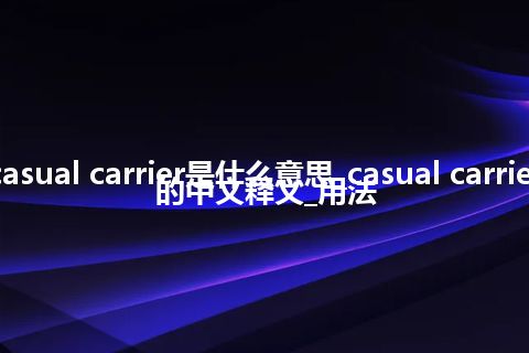 casual carrier是什么意思_casual carrier的中文释义_用法