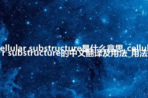 cellular substructure是什么意思_cellular substructure的中文翻译及用法_用法