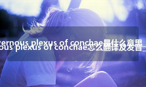 cavernous plexus of conchae是什么意思_cavernous plexus of conchae怎么翻译及发音_用法