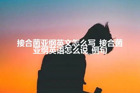 接合菌亚纲英文怎么写_接合菌亚纲英语怎么说_例句