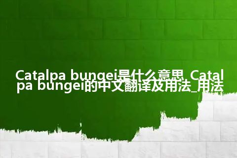 Catalpa bungei是什么意思_Catalpa bungei的中文翻译及用法_用法