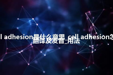 cell adhesion是什么意思_cell adhesion怎么翻译及发音_用法