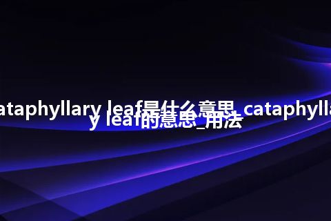 cataphyllary leaf是什么意思_cataphyllary leaf的意思_用法