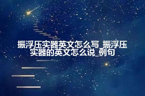 振浮压实器英文怎么写_振浮压实器的英文怎么说_例句