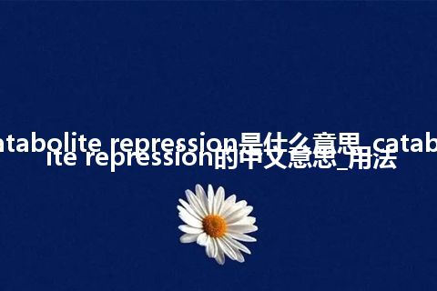 catabolite repression是什么意思_catabolite repression的中文意思_用法