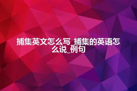 捕集英文怎么写_捕集的英语怎么说_例句