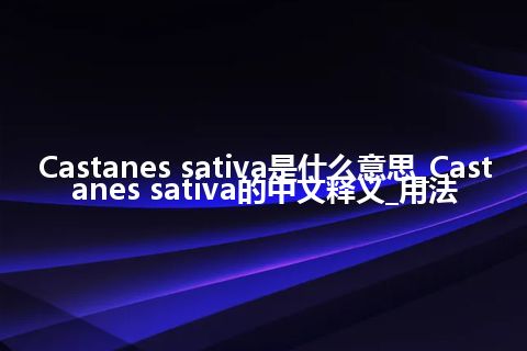 Castanes sativa是什么意思_Castanes sativa的中文释义_用法