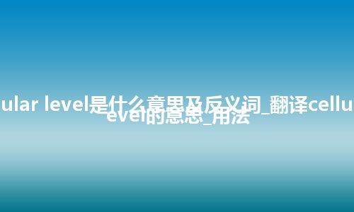 cellular level是什么意思及反义词_翻译cellular level的意思_用法