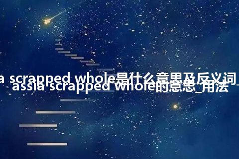 cassia scrapped whole是什么意思及反义词_翻译cassia scrapped whole的意思_用法