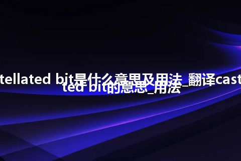 castellated bit是什么意思及用法_翻译castellated bit的意思_用法