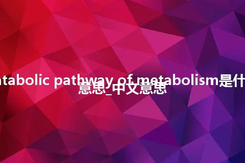 catabolic pathway of metabolism是什么意思_中文意思