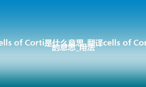 cells of Corti是什么意思_翻译cells of Corti的意思_用法