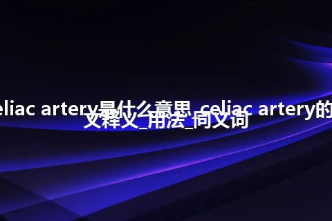 celiac artery是什么意思_celiac artery的中文释义_用法_同义词