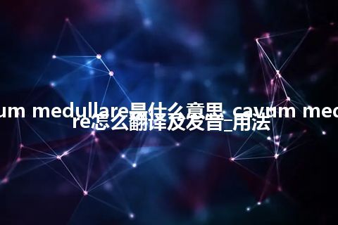 cavum medullare是什么意思_cavum medullare怎么翻译及发音_用法