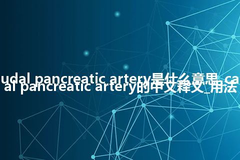 caudal pancreatic artery是什么意思_caudal pancreatic artery的中文释义_用法