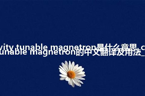 cavity tunable magnetron是什么意思_cavity tunable magnetron的中文翻译及用法_用法