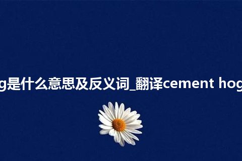 cement hog是什么意思及反义词_翻译cement hog的意思_用法