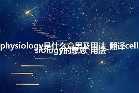 cell physiology是什么意思及用法_翻译cell physiology的意思_用法