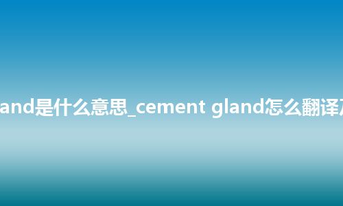 cement gland是什么意思_cement gland怎么翻译及发音_用法