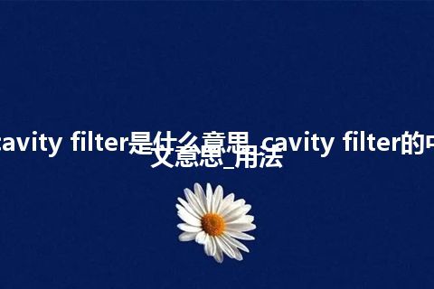 cavity filter是什么意思_cavity filter的中文意思_用法