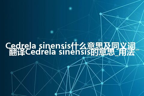 Cedrela sinensis什么意思及同义词_翻译Cedrela sinensis的意思_用法