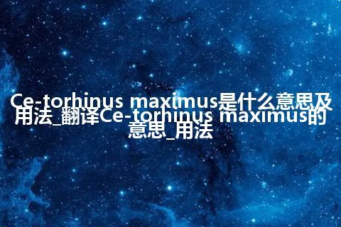 Ce-torhinus maximus是什么意思及用法_翻译Ce-torhinus maximus的意思_用法