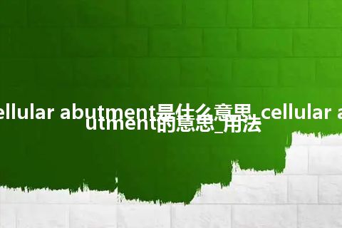 cellular abutment是什么意思_cellular abutment的意思_用法