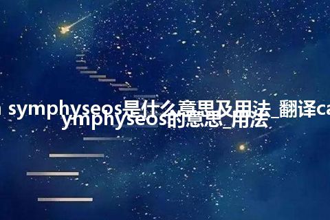 cavum symphyseos是什么意思及用法_翻译cavum symphyseos的意思_用法