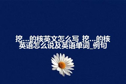 挖…的核英文怎么写_挖…的核英语怎么说及英语单词_例句