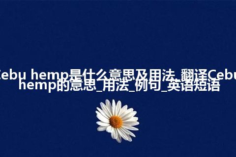 Cebu hemp是什么意思及用法_翻译Cebu hemp的意思_用法_例句_英语短语