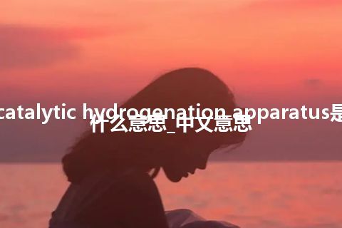 catalytic hydrogenation apparatus是什么意思_中文意思