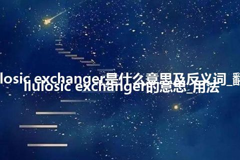 cellulosic exchanger是什么意思及反义词_翻译cellulosic exchanger的意思_用法