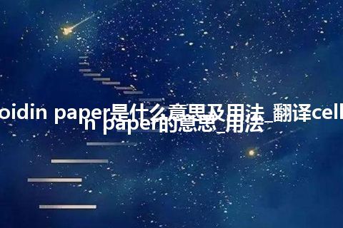 celloidin paper是什么意思及用法_翻译celloidin paper的意思_用法