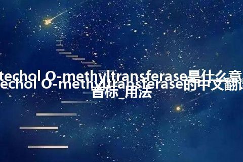 catechol O-methyltransferase是什么意思_catechol O-methyltransferase的中文翻译及音标_用法