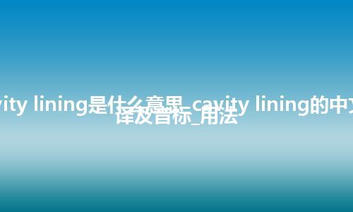 cavity lining是什么意思_cavity lining的中文翻译及音标_用法