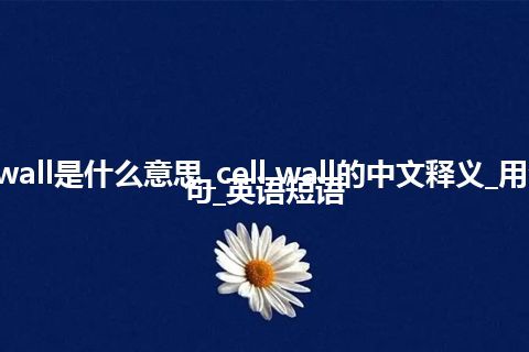 cell wall是什么意思_cell wall的中文释义_用法_例句_英语短语