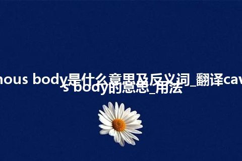 cavernous body是什么意思及反义词_翻译cavernous body的意思_用法