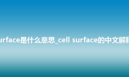 cell surface是什么意思_cell surface的中文解释_用法