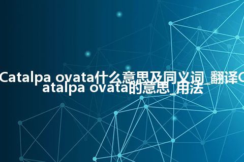 Catalpa ovata什么意思及同义词_翻译Catalpa ovata的意思_用法