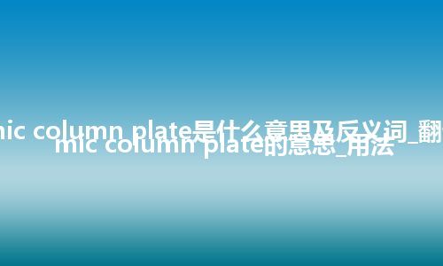 ceramic column plate是什么意思及反义词_翻译ceramic column plate的意思_用法