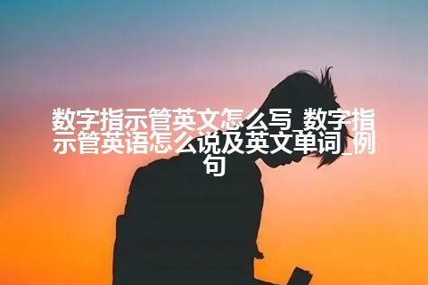 数字指示管英文怎么写_数字指示管英语怎么说及英文单词_例句