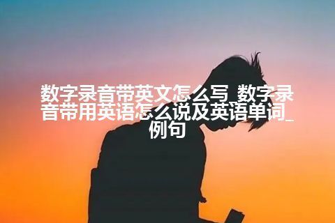 数字录音带英文怎么写_数字录音带用英语怎么说及英语单词_例句