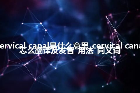 cervical canal是什么意思_cervical canal怎么翻译及发音_用法_同义词