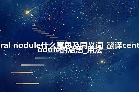 central nodule什么意思及同义词_翻译central nodule的意思_用法