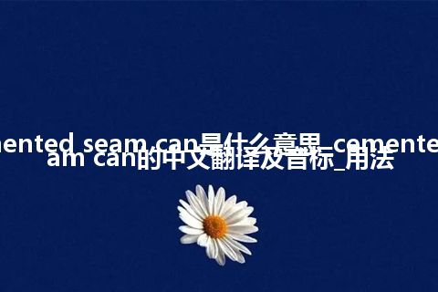 cemented seam can是什么意思_cemented seam can的中文翻译及音标_用法